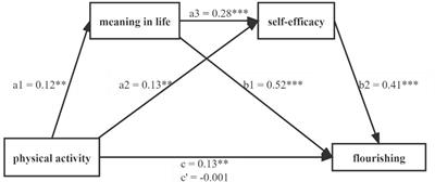 Chinese Youths’ Physical Activity and Flourishing During COVID-19: The Mediating Role of Meaning in Life and Self-Efficacy